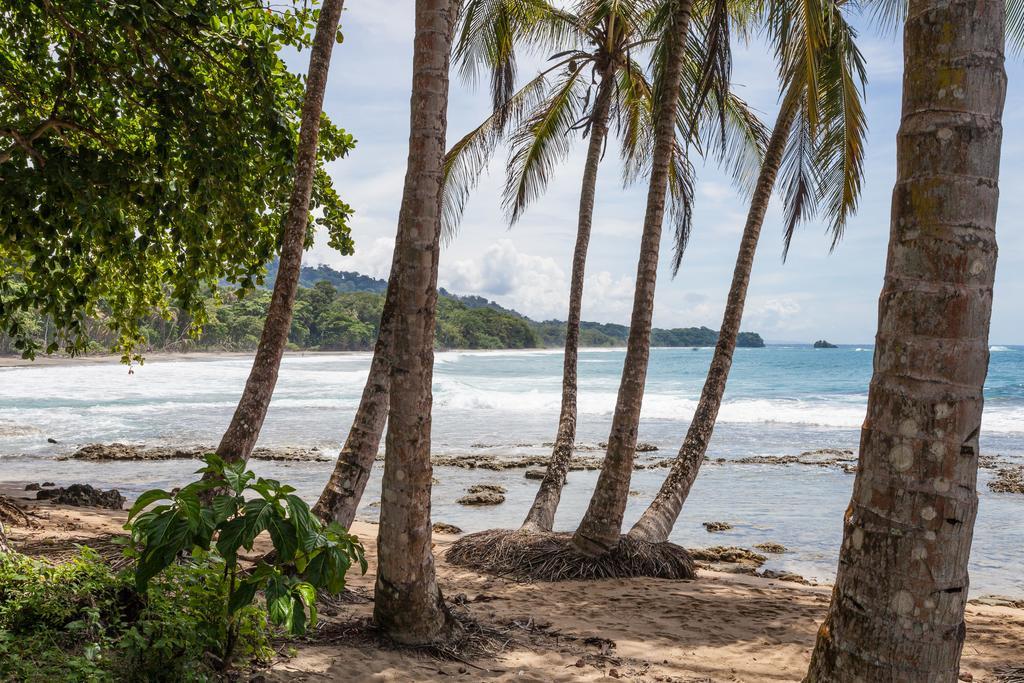 Relax Natural Village Adults Only Puerto Viejo de Talamanca Luaran gambar